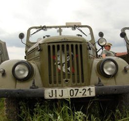 Boskovický sedmizubec