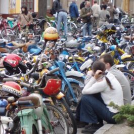 V ráji 331 mopedů