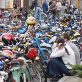 V ráji 331 mopedů
