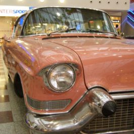 American Cars v Olympii