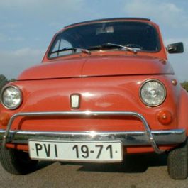 Můj Fiat 500